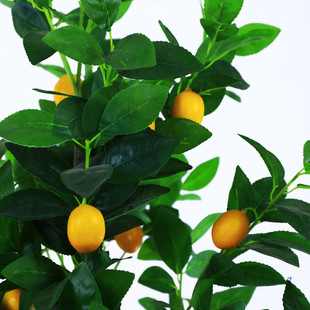 仿真柠檬树北欧大型假盆景室内客厅装饰摆件绿植盆栽假柠檬小树