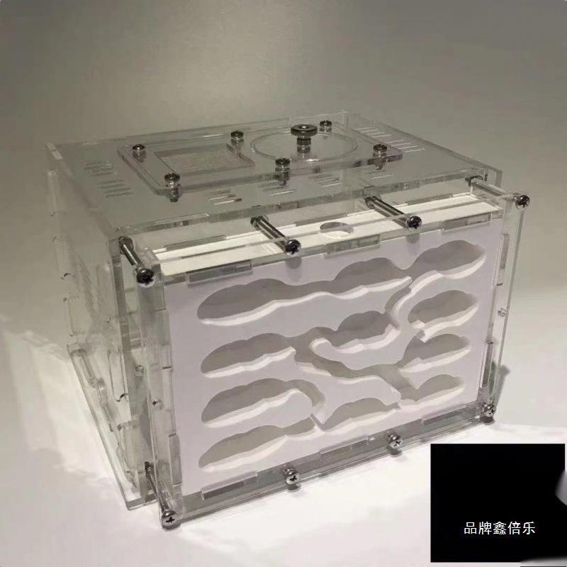 石膏蚁巢巢生亚克力城堡试管宠物特生日硬蚁巢宠物混凝土散装长宽