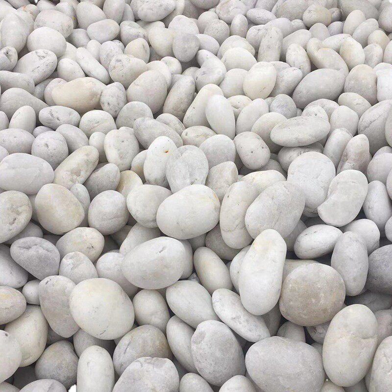 精抛白色鹅卵石园林景观工程铺路抛光雨花石白色石子批发原产地