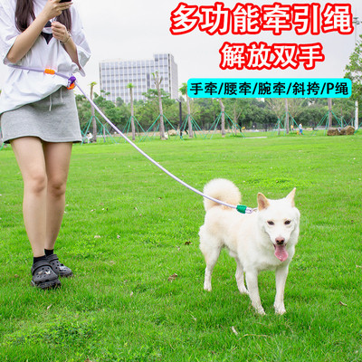猫咪狗狗8防双环法斗字挣脱多功能项圈牵引绳胸背带防走丢遛狗绳