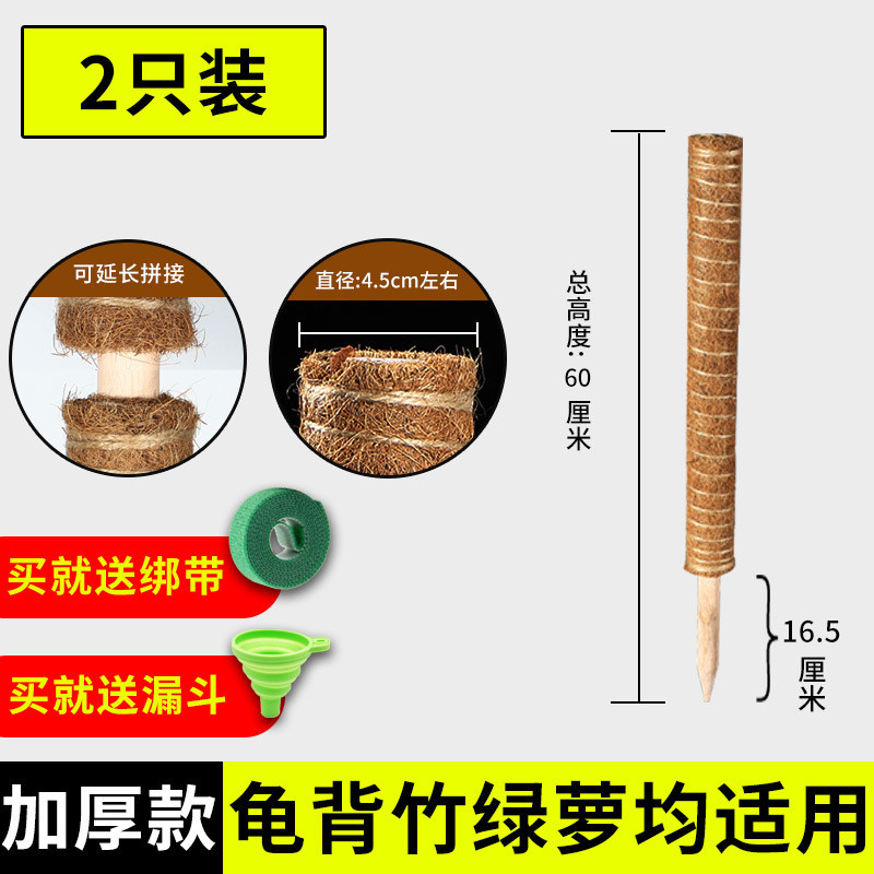 椰丝棒绿箩固定架架支撑杆椰棕植物爬藤花棕榈绿萝柱攀爬柱龟背竹
