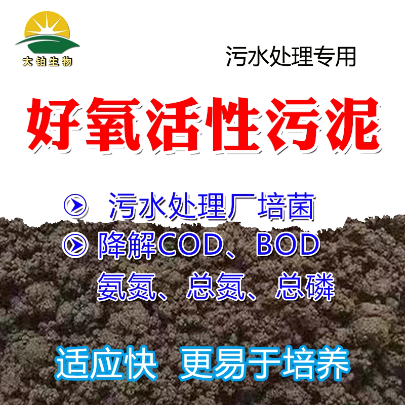 好氧活性污泥菌污水处理系统生化培菌接触氧化池氧化沟SBR池MBR池