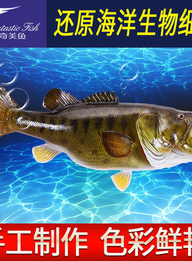 热销海洋工艺品大嘴鲈鱼仿真鱼玻璃钢雕塑室内装饰半边模型墙壁挂