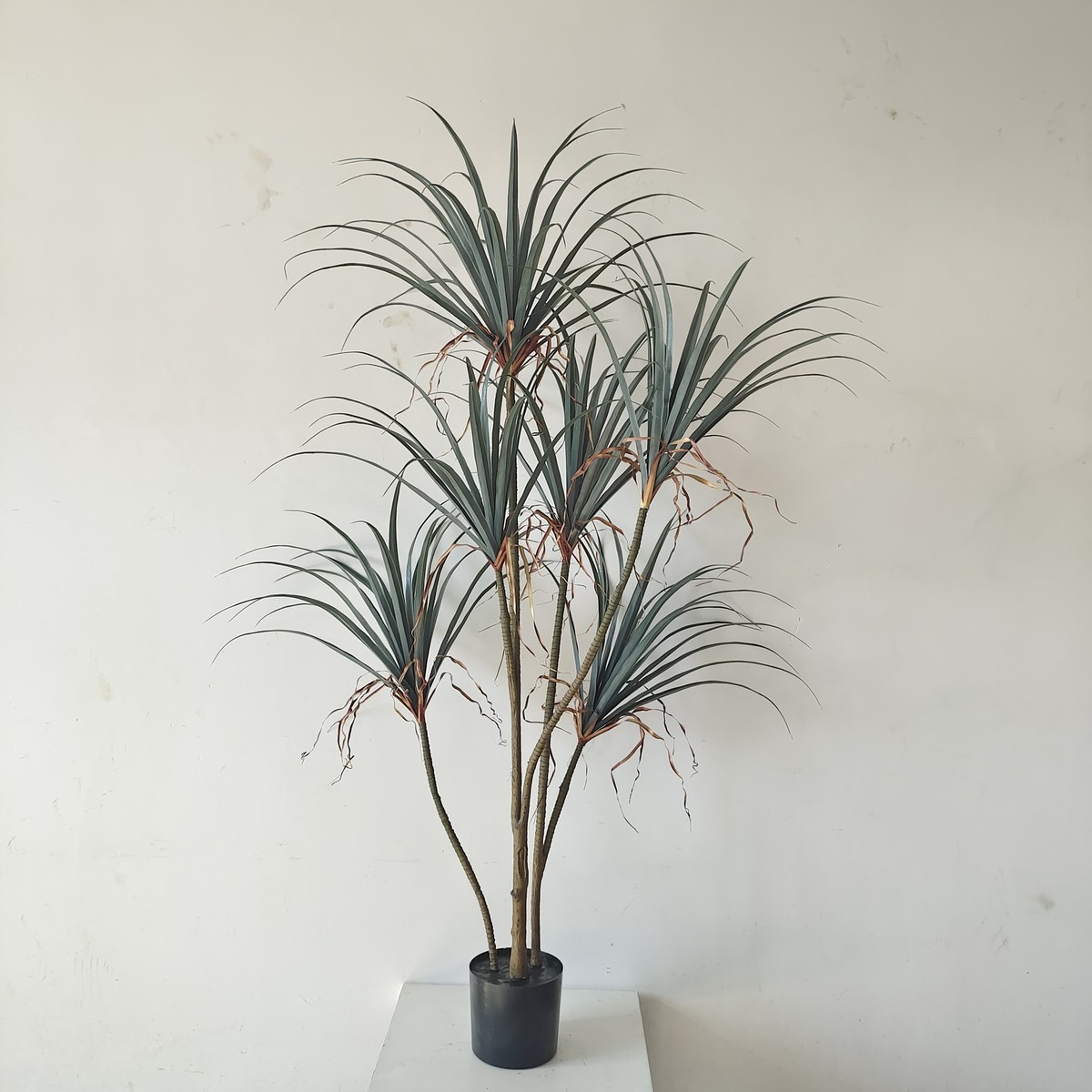 盆栽仿真北欧ins风假植物落地盆景室内装饰假大型绿植千年龙铁木