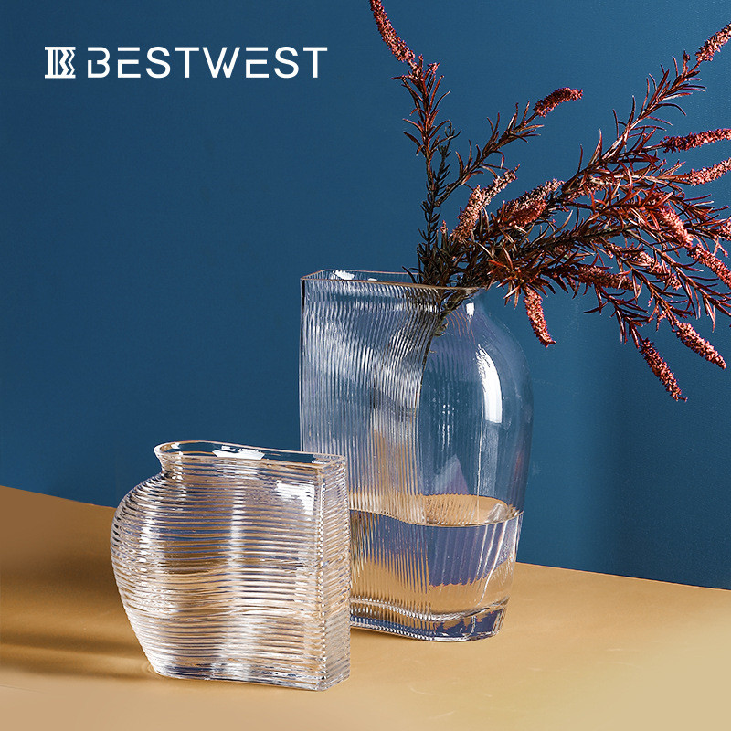 Best west 简约圆球形透明水培玻璃花瓶摆件 家居客厅玄关装饰品