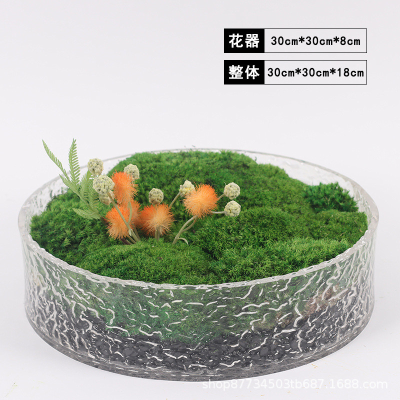 亚克力仿真绿植盆景摆件样板房茶室洽谈餐桌花艺装饰品微景观植物