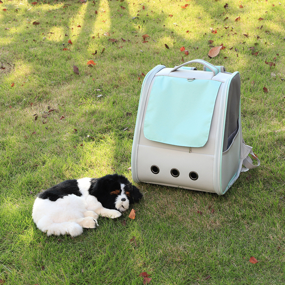 新款猫包宠物包外出携带便捷双肩背家庭小型犬现货猫包旅行批发