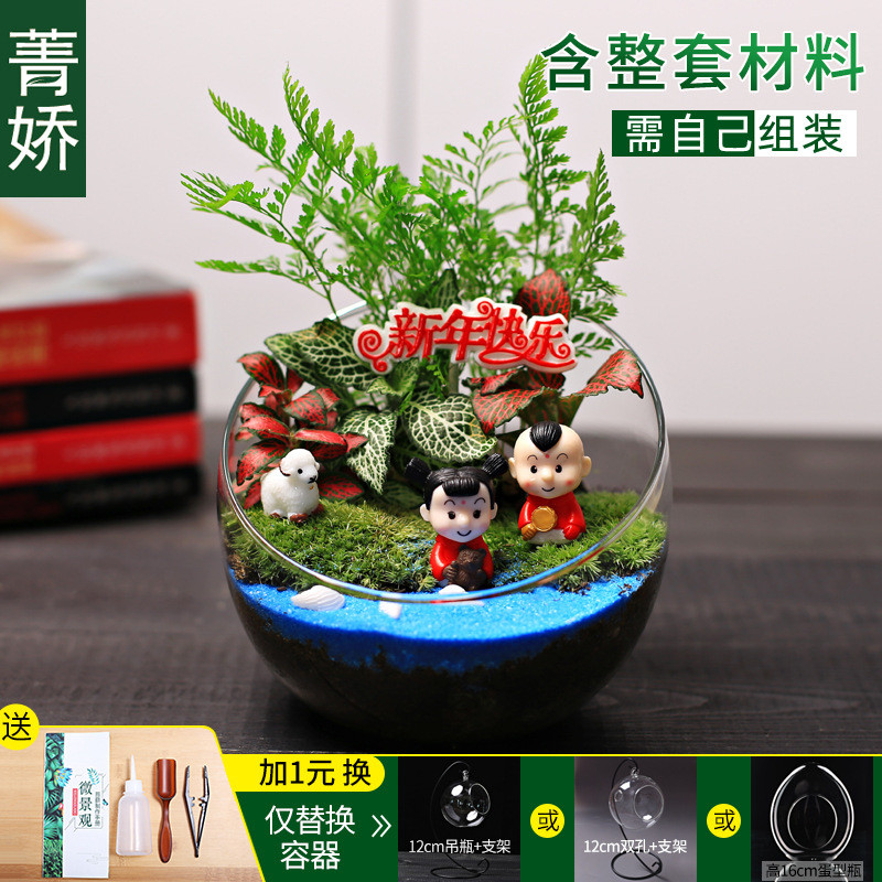 12cm切口瓶生态桌面微景观diy材料包苔藓迷你绿植物花卉小盆栽