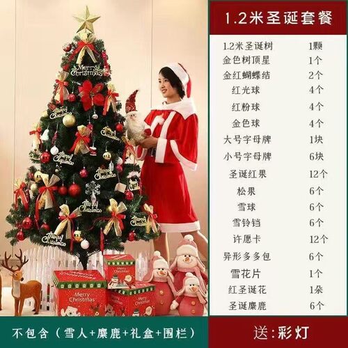 2024新款圣诞节装饰圣诞树家用大型发光套餐加密摆件高级感ins风