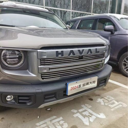 热销适用于24弗哈大狗前脸中网外观改装配件专用防虫网装饰条汽车