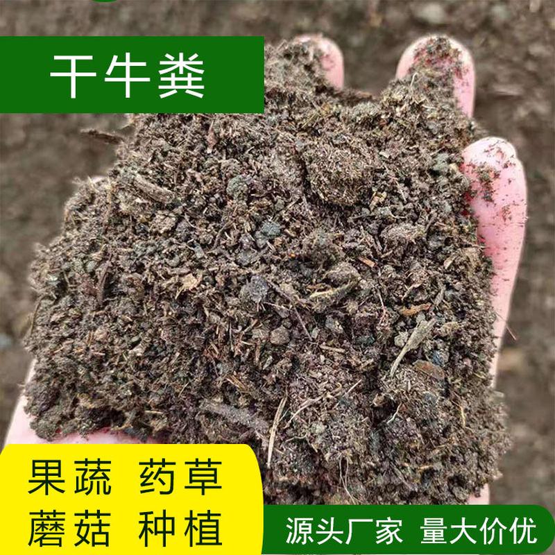 干牛粪块晾晒牛粪牛屎发酵牛粪牛粪风干有机肥料葡萄专用肥