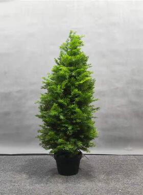 仿真松柏树仿真绿植枝柏树罗汉松盆景仿真假刺柏侧柏龙塔柏杉树