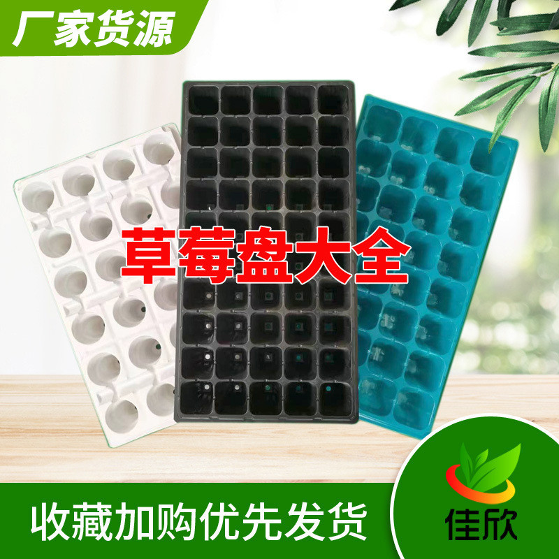 白色蓝色黑色24孔滴灌带草莓加厚秧苗育苗盘盘50孔桉树塑料穴盘