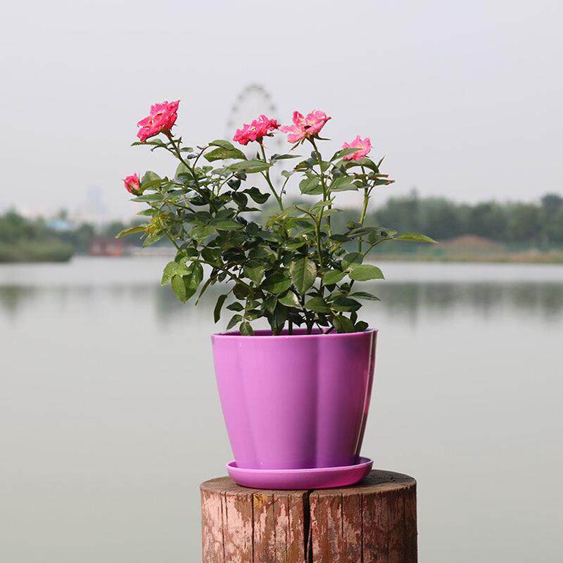 塑料花盆花瓣盆彩色圆形绿植多肉仿瓷盆南瓜型竖纹树脂批发厂家