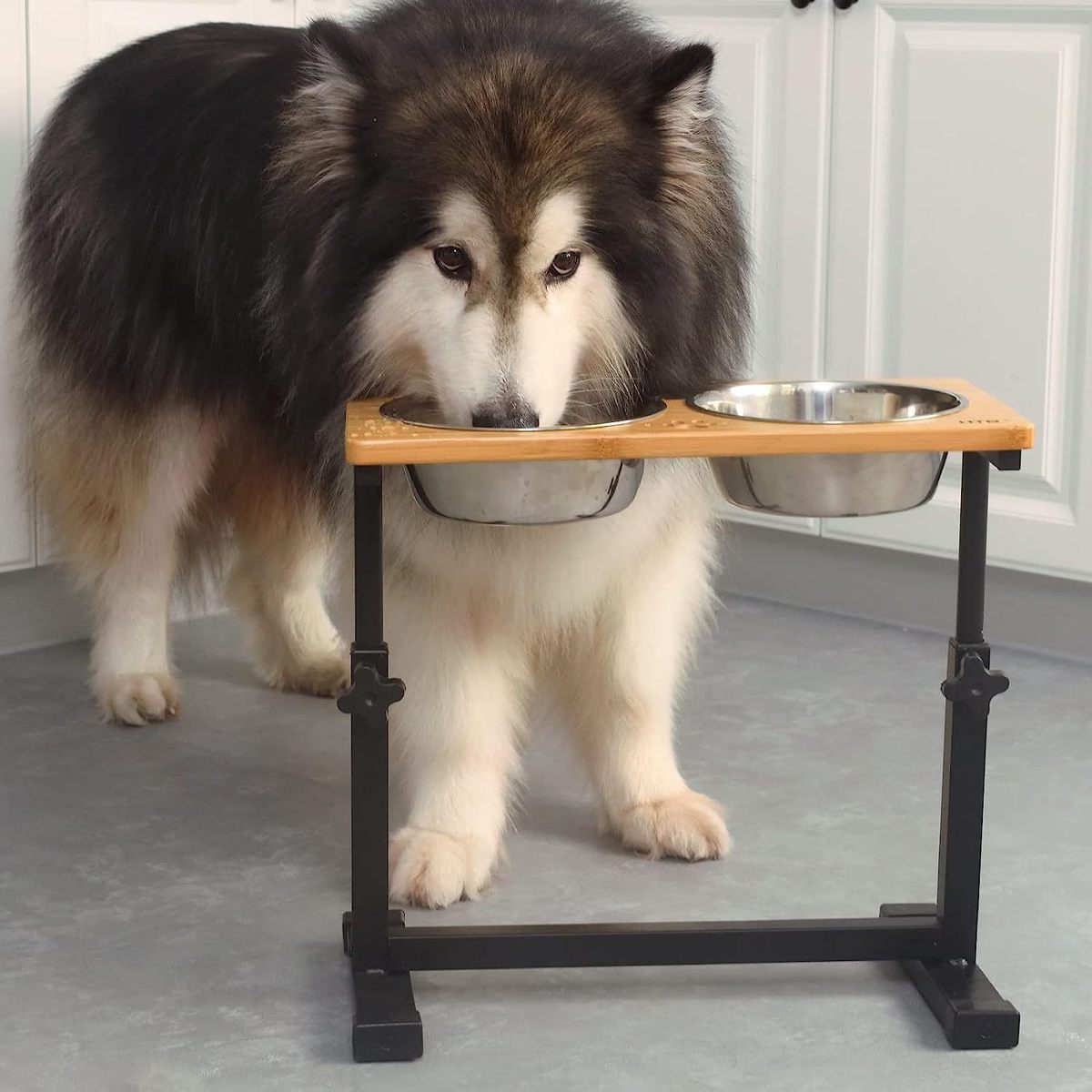 风高架狗碗家用可调节宠物狗猫咪喂食架宠物店简约木质木质喂食器