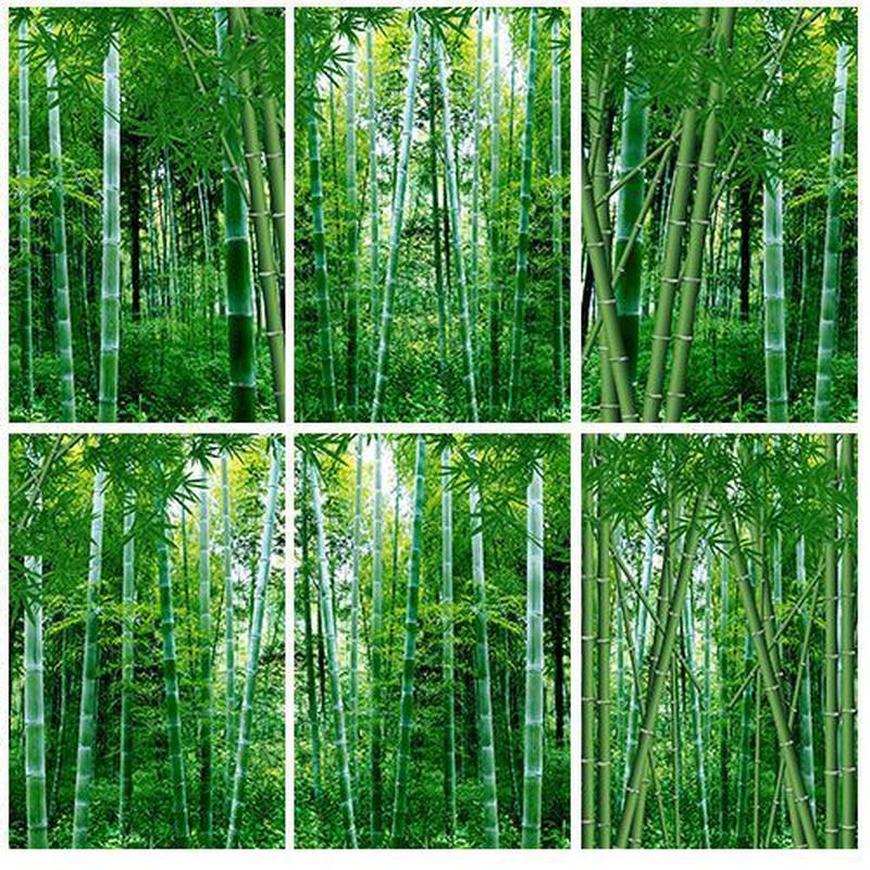 竹林挂画沙发电视背景墙纸装饰画绿色竹子客厅卧室贴画风景树木画图片