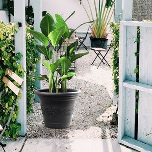 华阳台塑料种植盆三色大口径18寸虹越花园庭院锦种植盆复古刻花盆