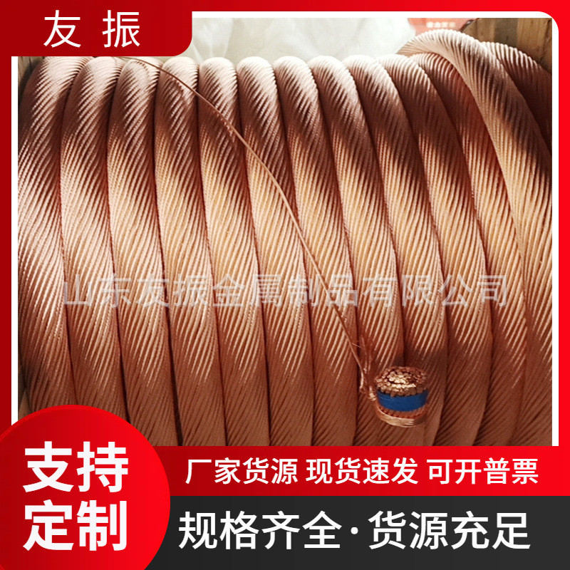 器软铜绞线 500 1200平方 烧穿多股铜母线 设备导电接头铜辫子