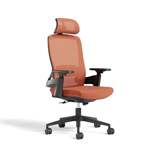 带头枕的符合人体工学办公椅3d扶手电脑椅透气网布家用护腰高