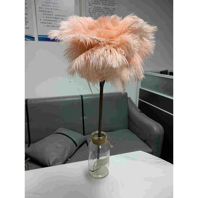 批发肉粉鸵鸟掸掸子胡桃木柄鸡毛掸子静电除尘毛家用扫车桌面装饰,农机/农具/农膜,播种栽苗器/地膜机,淘宝优惠券,粉丝福利购,淘宝优惠卷