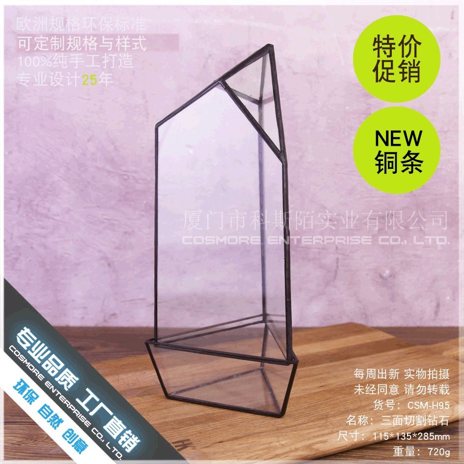 创意多肉植物玻璃瓶不规则玻璃花瓶微景观苔藓瓶diy造景瓶摆件