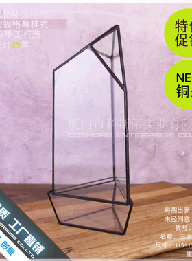 创意多肉植物玻璃瓶不规则玻璃花瓶微景观苔藓瓶diy造景瓶摆件