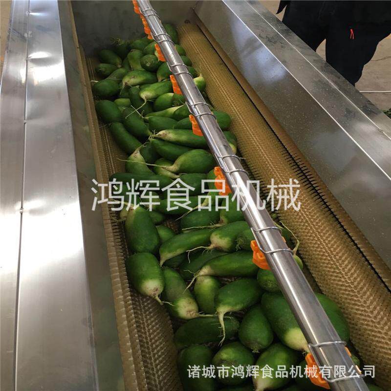 热销山东毛刷去皮红薯红薯去皮清洗机大枣清洗机机脱皮机厂家