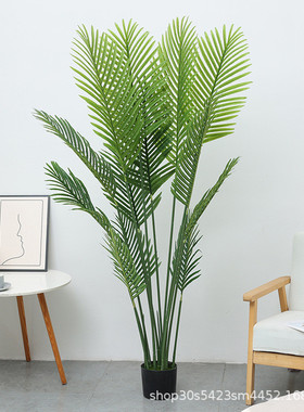 朵芙仿真树真多杆散尾葵假花套装批发家居客厅室外仿装饰绿色植物