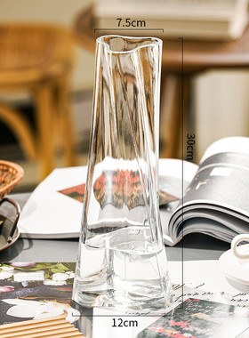 花器花瓶摆件客厅创意不规则透明玻璃水培插花装饰网红感轻奢