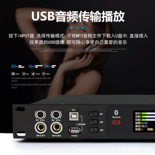 热销ktv前级效果器唱歌防啸叫专业卡拉ok前级家用数字家庭k歌混响