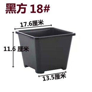 景天盆黑方白方多肉盆厂家批发多肉育苗盆基地用电商基地花盆