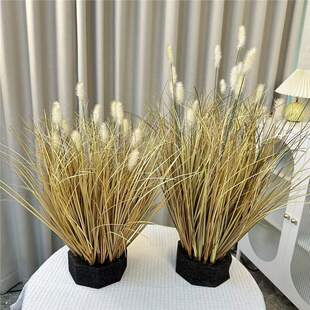 芦苇草仿真花蒲苇假花绿植盆栽室内花箱装饰狗尾巴草仿真花造景
