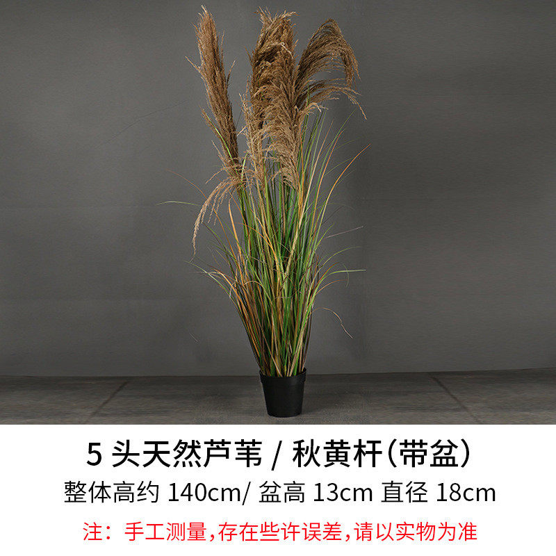 门店芦苇草隔断室内仿真植物盆栽橱窗落地装饰仿生绿植墙景观摆件