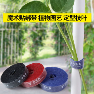 爬藤绿植魔术贴固定绑带园艺扎线捆绑定型不伤植物支撑尼龙粘扣带