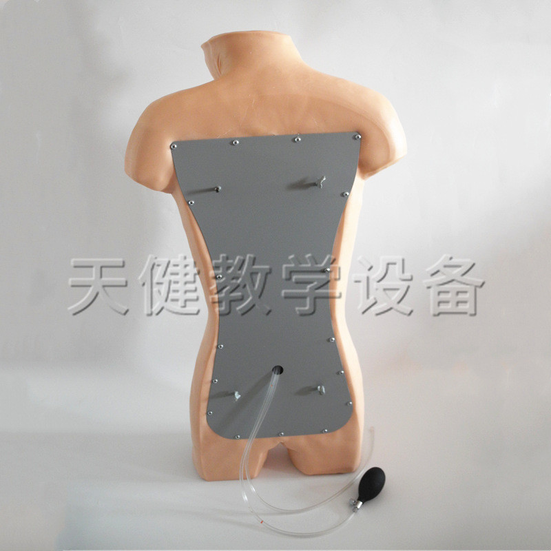 热销tj/ck813t腹部移动性浊音叩诊与腹腔穿刺训练模型腹腔穿刺模