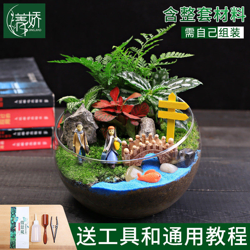 微景观15cm切口苔藓diy材料包创意玻璃球生态瓶子摆件礼品物套装