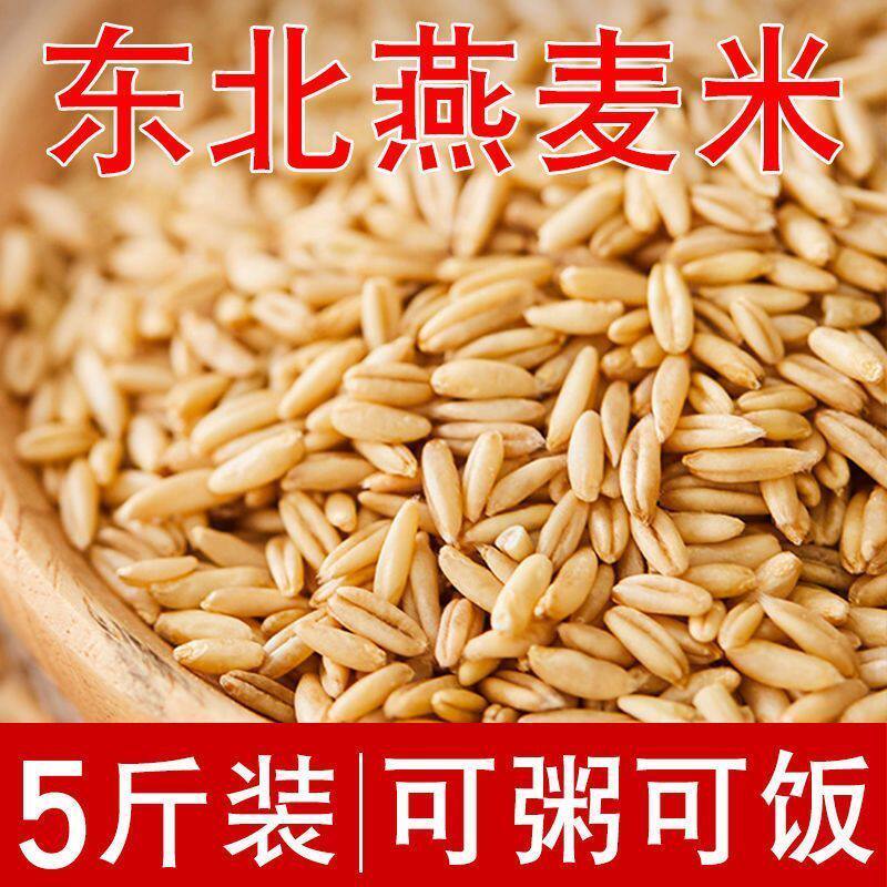新货燕麦米商用长粒燕麦米燕麦仁全胚芽麦仁无干燥剂新米燕麦米仁