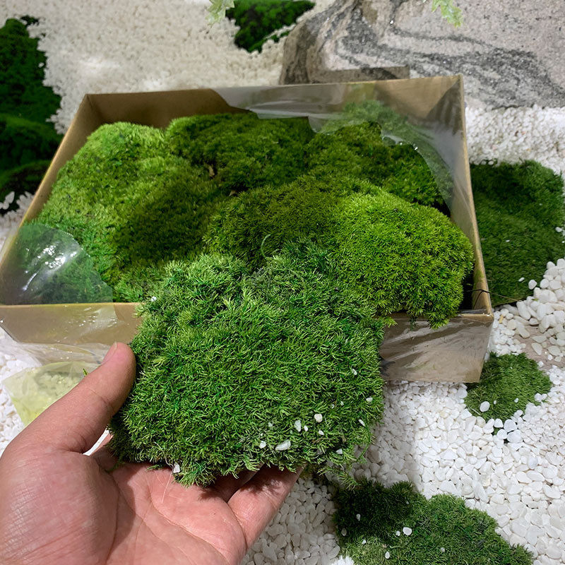 竹子隔断挡墙假竹子植物室内造景装饰竹子竹叶绿植景