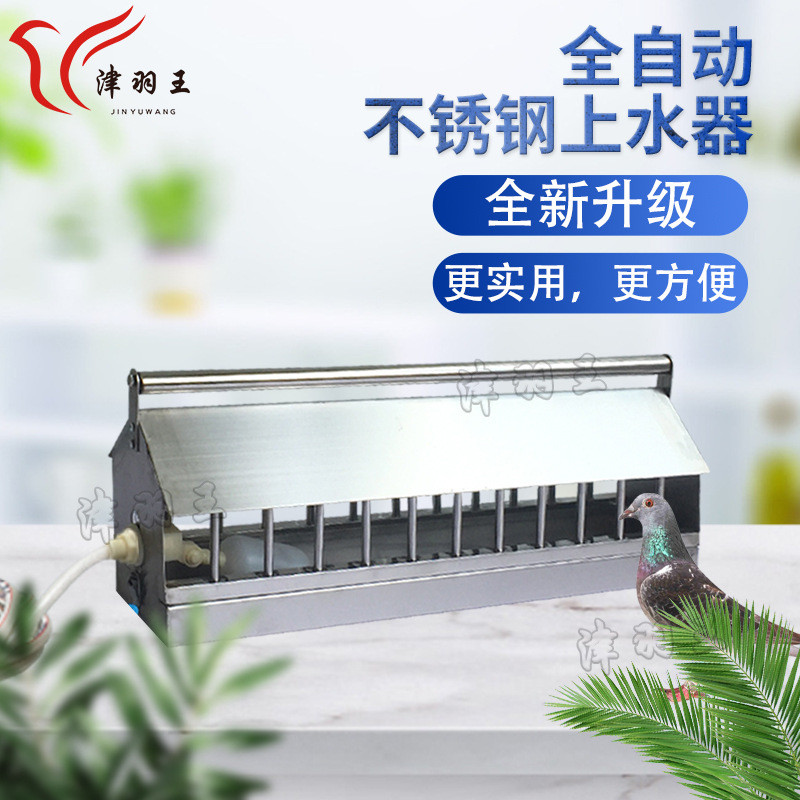 津羽王鸽具鸽子用品不锈钢全自动饮水器喂水器鸡鸭饮水自动上水