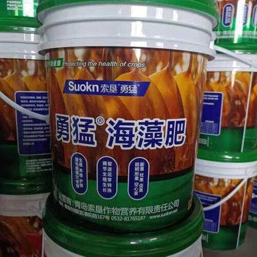 厂家直供微量油菌肥微生物菌肥海藻桶肥肥促进花芽转化