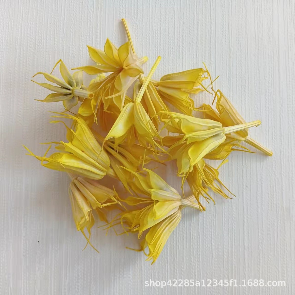 八角花果花头干花天然花真diy手工花材拍摄道具配材厂家直销批发