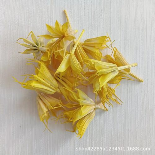 八角花果花头干花真天然花diy手工花材拍摄道具配材厂家直销批发