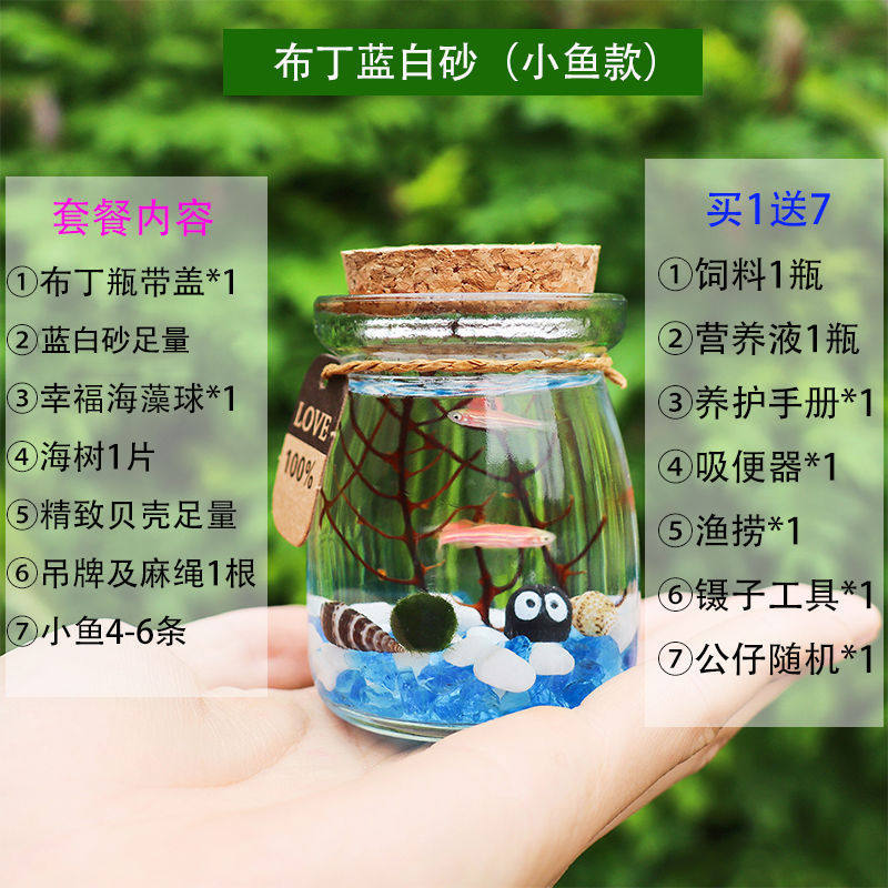 造景循环生态瓶自桌面摆件生态迷你免打理成品微景观小型玻璃鱼缸,宠物/宠物食品及用品,桌面缸,淘宝优惠券,粉丝福利购,淘宝优惠卷