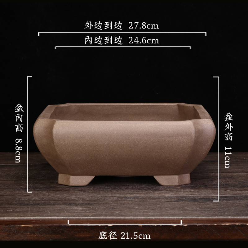 宜兴黑松兰花盆家用客厅方形盆景盆多肉盆栽创意陶瓷榕树紫砂批发