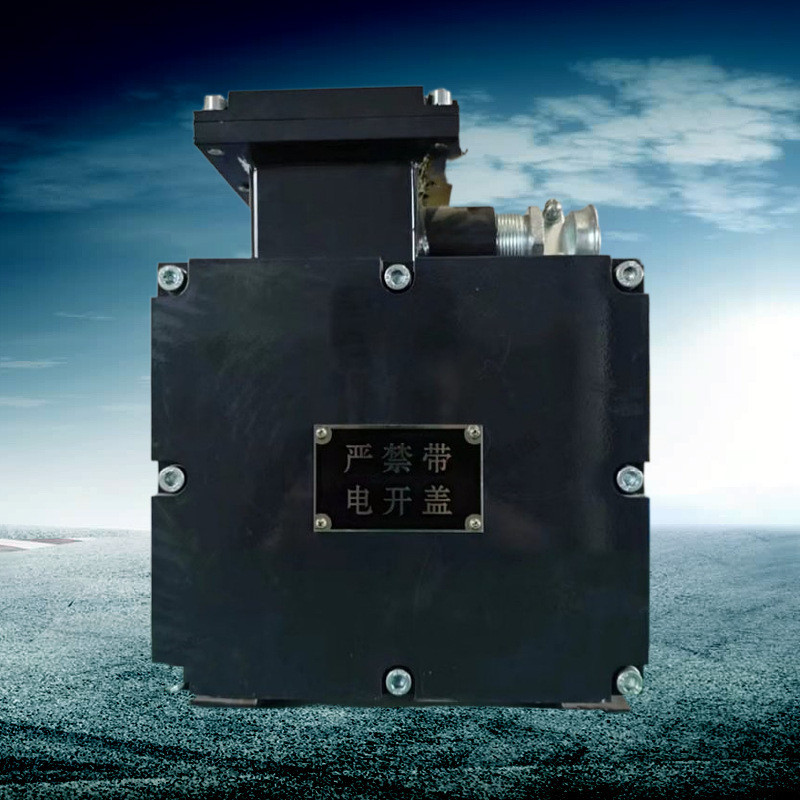 热销煤矿用dzb127电阻箱装置检测漏电功能齐全结构合理