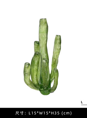 果盘珊瑚海藻异型摆件样板间组合客厅玄关绿色简约创意艺术装饰品