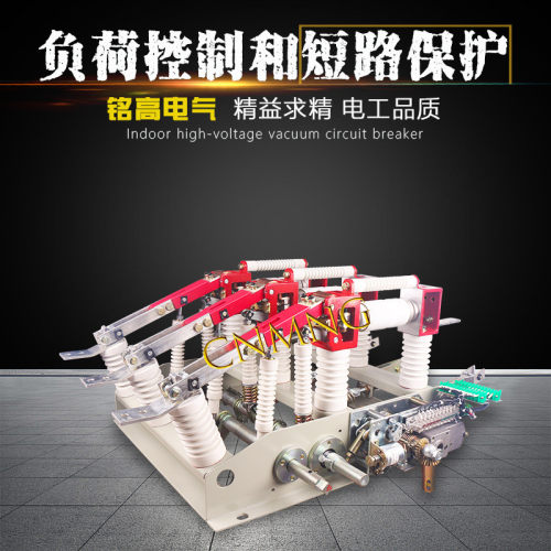 热销铭高电气fzn21rd-12/630真空户内高压型负荷开关不带熔管厂家