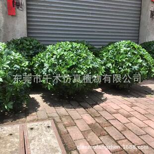 仿真草球灌木球海桐球红叶石楠球假黄杨球龟甲冬青灌木草丛定制厂