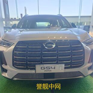 热销广改装传祺gs4max前脸中网外观汽配件专用装饰防虫网汽车用品