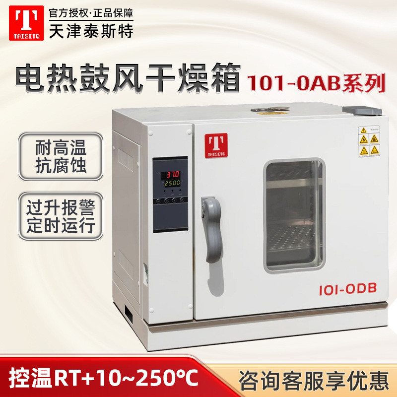 天津泰斯特101系列工业烤箱实验室小型恒温烘箱电热鼓风干燥箱